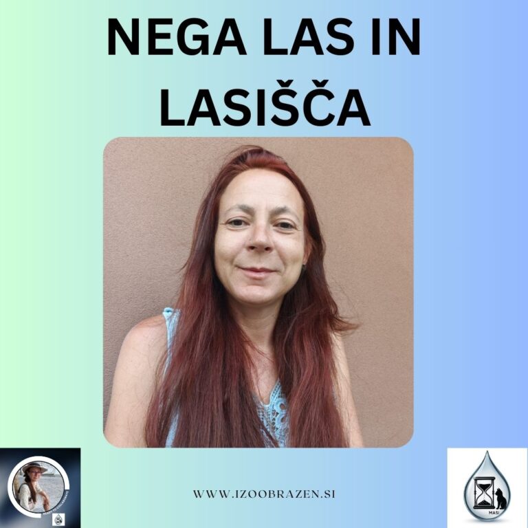 negalasinlasisca